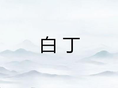 白丁 白丁