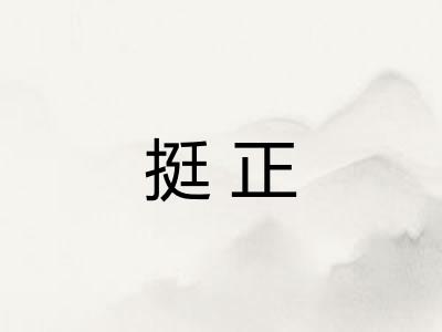挺正 挺正