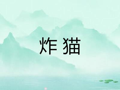 炸猫 炸猫