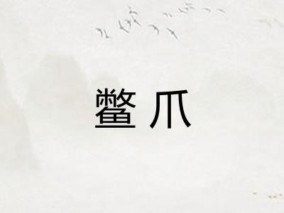 鳖爪 鳖爪