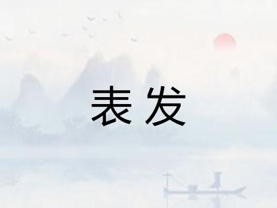 表发 表发