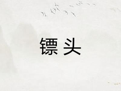 镖头 镖头