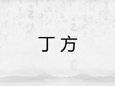 丁方 丁方