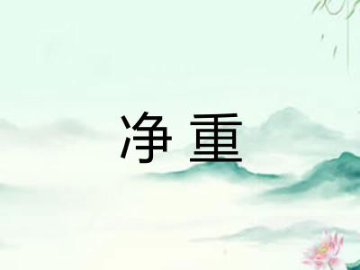 净重 净重
