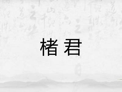 楮君 楮君