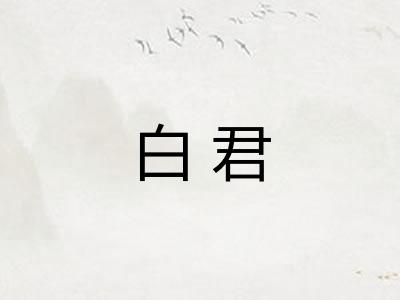 白君 白君