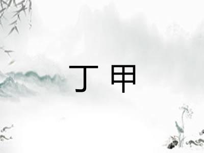 丁甲 丁甲