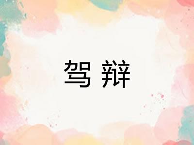 驾辩