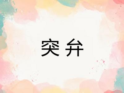 突弁 突弁