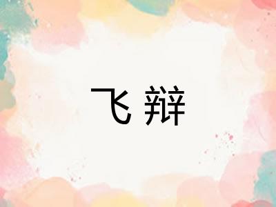飞辩 飞辩