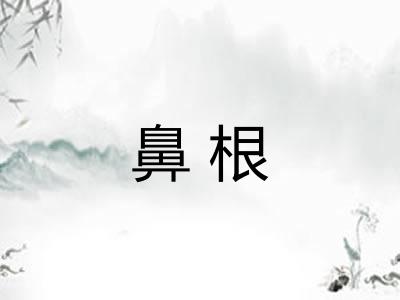 鼻根