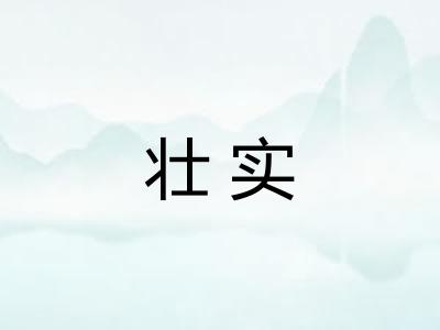 壮实