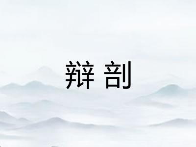 辩剖 辩剖