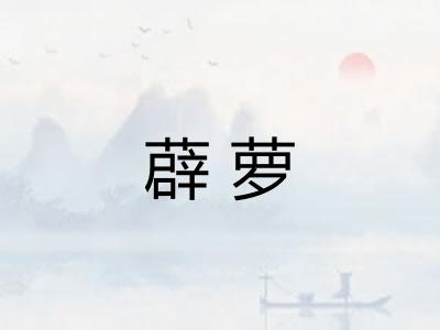 薜萝 薜萝