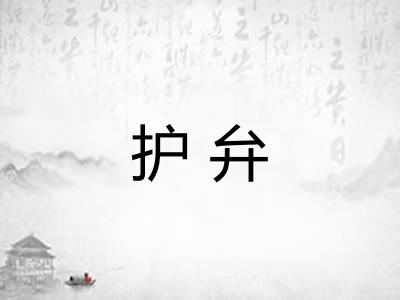 护弁