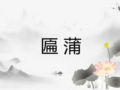 匾蒲 匾蒲