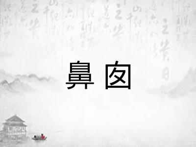 鼻囱 鼻囱