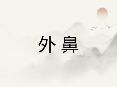 外鼻
