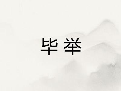 毕举 毕举