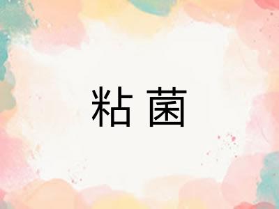 粘菌 粘菌