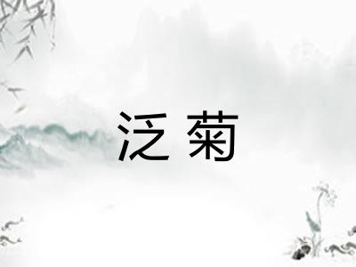 泛菊 泛菊