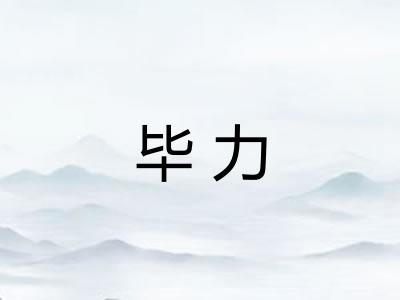 毕力