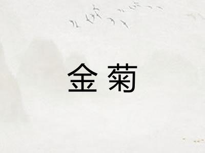 金菊 金菊
