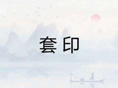 套印