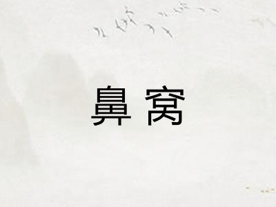 鼻窝