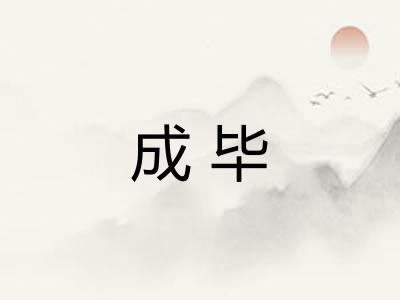 成毕
