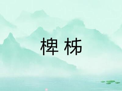 椑柹 椑柹