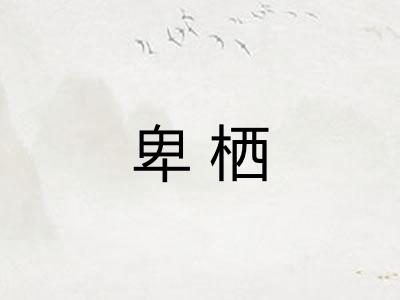 卑栖 卑栖