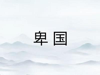 卑国 卑国