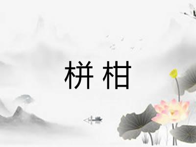 栟柑 栟柑