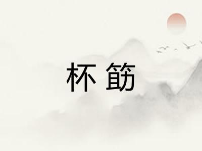 杯筯 杯筯
