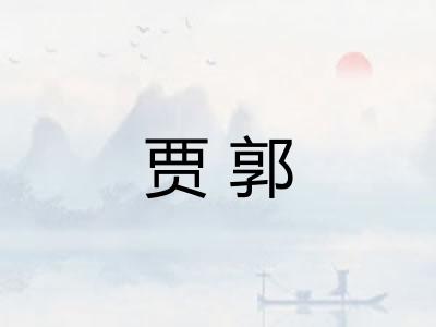 贾郭 贾郭