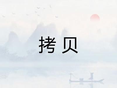 拷贝 拷贝