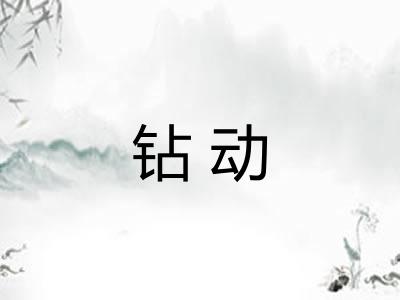 钻动