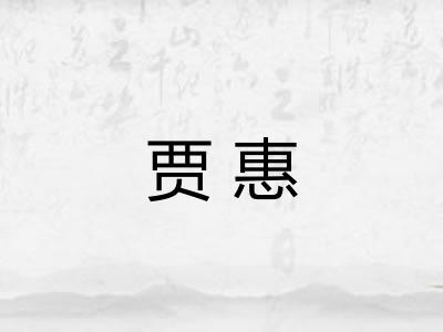 贾惠