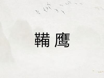 鞴鹰 鞴鹰