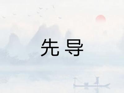 先导 先导
