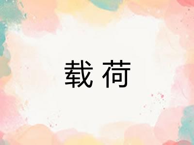 载荷