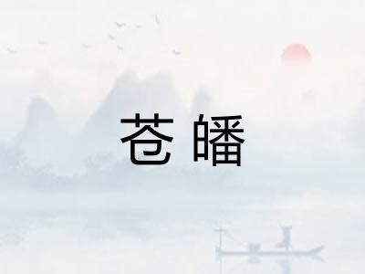 苍皤
