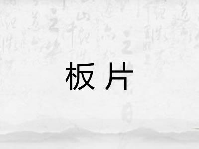 板片