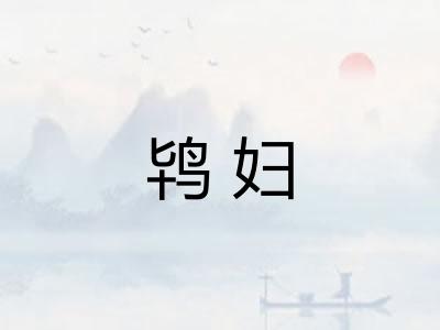 鸨妇 鸨妇