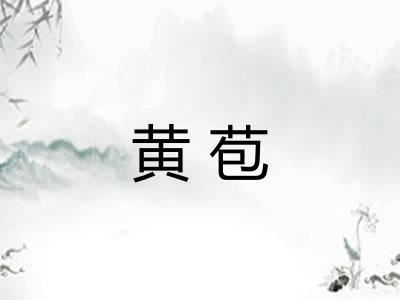 黄苞 黄苞