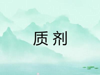 质剂 质剂