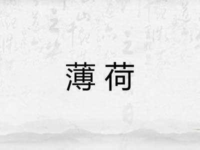 薄荷 薄荷