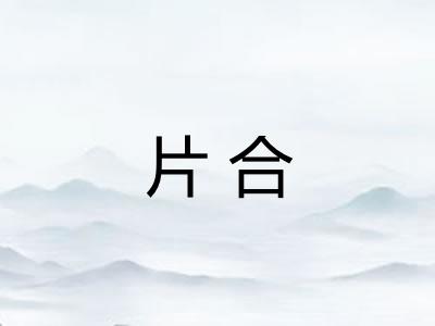 片合