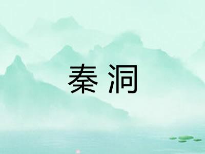 秦洞